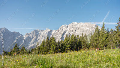 image to crop