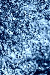 preview cold