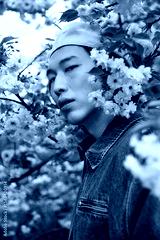 preview cold