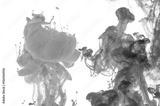 preview bw