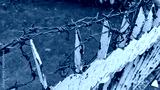 preview cold