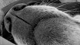 preview bw