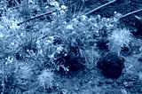 preview cold