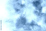 preview cold