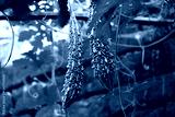 preview cold