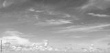 preview bw