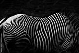 preview bw
