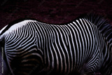 preview original