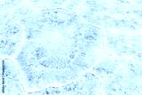 preview cold