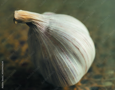 image to crop
