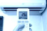 preview cold