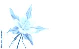 preview cold