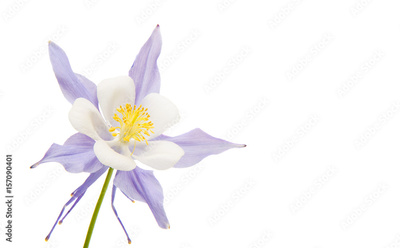 image to crop