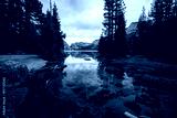 preview cold