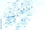preview cold