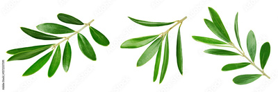 image to crop