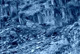 preview cold