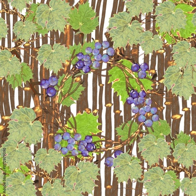 image to crop