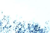 preview cold