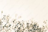 preview original