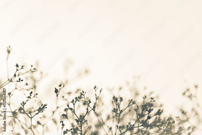 image to crop
