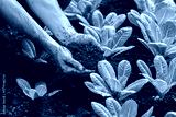 preview cold