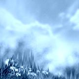 preview cold