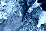 preview cold