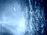 preview cold