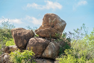 image to crop