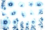 preview cold