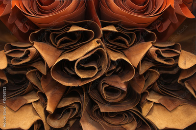 image to crop