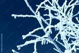 preview cold