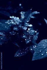 preview cold