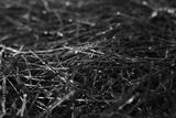 preview bw