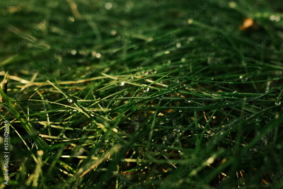 image to crop