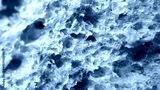 preview cold