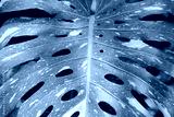 preview cold