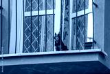 preview cold