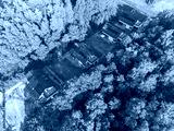 preview cold