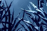 preview cold