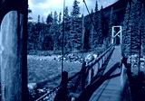 preview cold