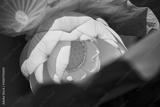 preview bw