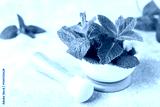 preview cold