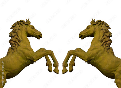 image to crop