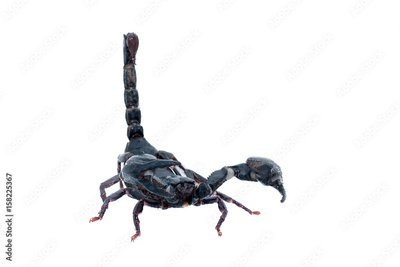 image to crop