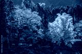 preview cold
