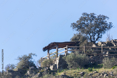 image to crop