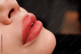 preview original