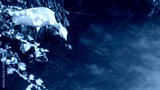 preview cold
